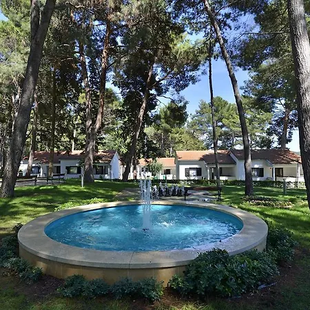 Galijot Plava Laguna 4*