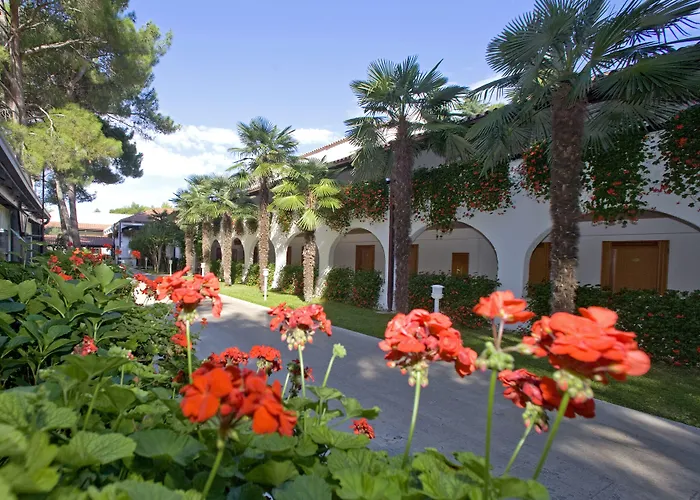 Galijot Plava Laguna 4*