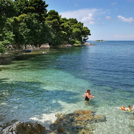 Hotel Galijot Plava Laguna 4*