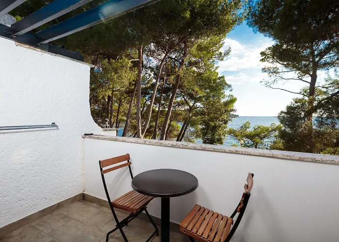 Galijot Plava Laguna 4* 波雷奇