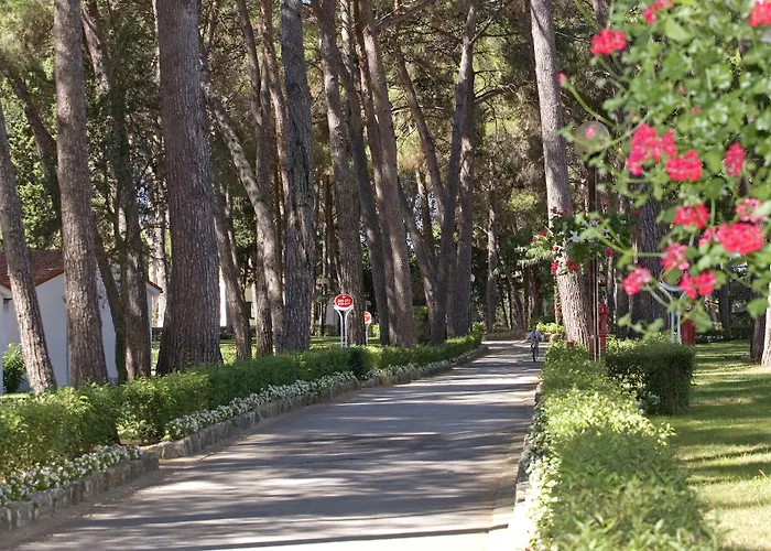 Galijot Plava Laguna Porec